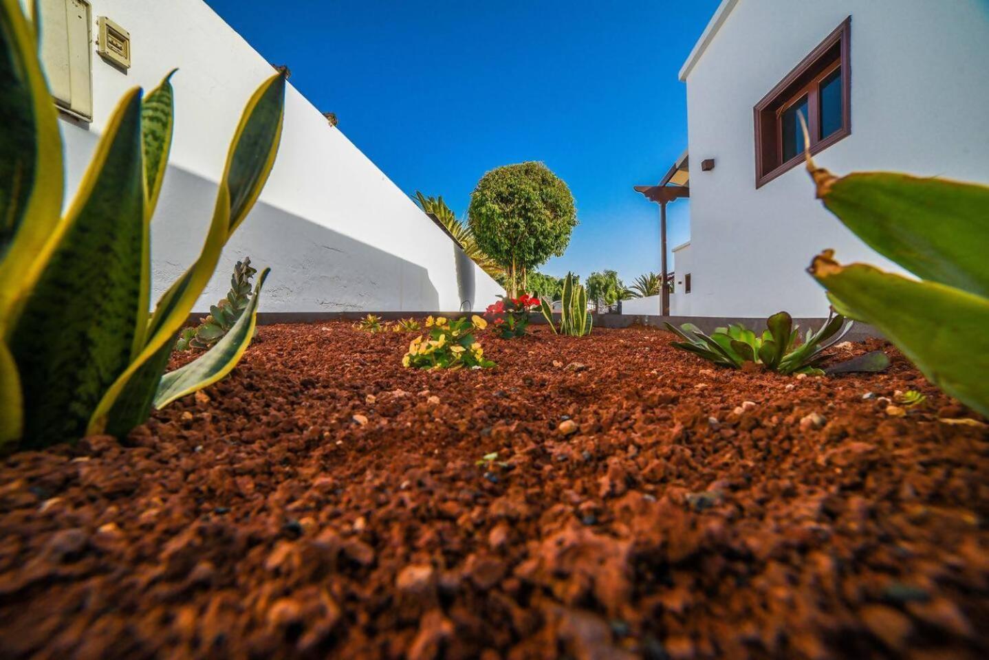 Agradable Y Familiar Con Piscina Casa Inima Villa Playa Blanca  Exteriör bild